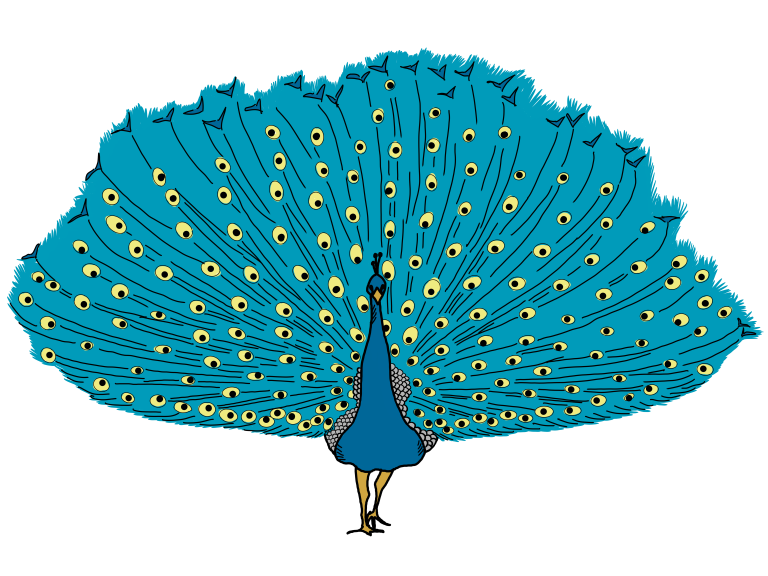 EAV Peacock