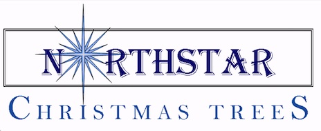 Northstar Chrismas Trees