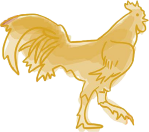EAV Rooster